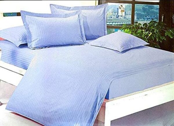 Blue Bedsheet