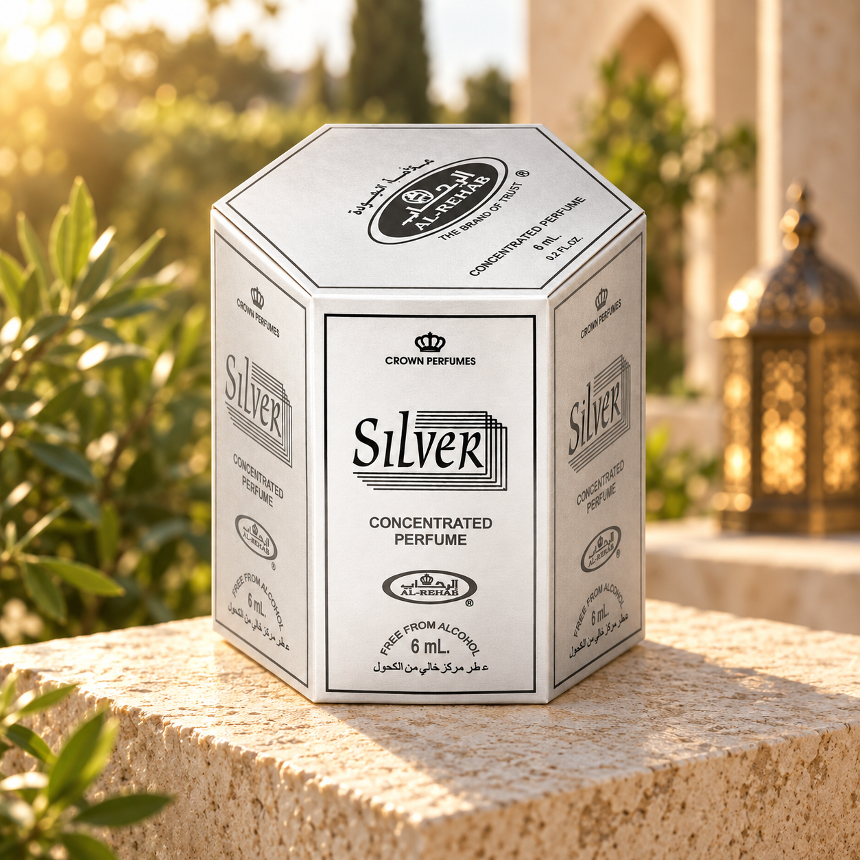 6-Piece Silver Concentrated Perfume Oil Without Alcohol 6ml - Image 2